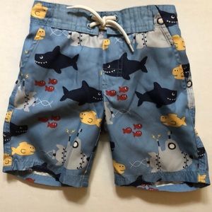 Gymboree boys shark swim trunks size 2T